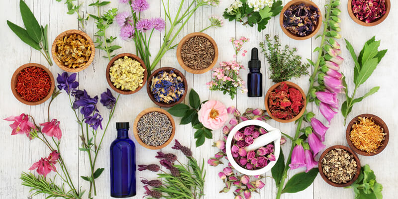 Best Herbal Remedies